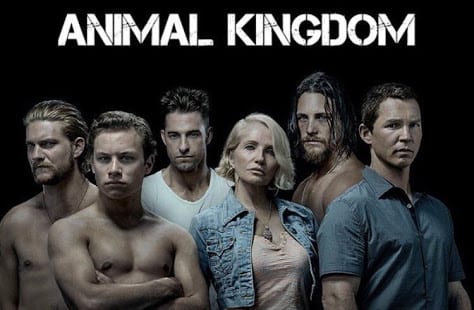 Animal Kingdom Season 4 Air Date: When Will It Premiere? - Otakukart News