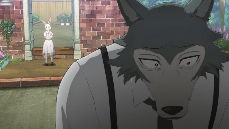 Beastars Episode 12 Online Stream Date And Preview Otakukart News