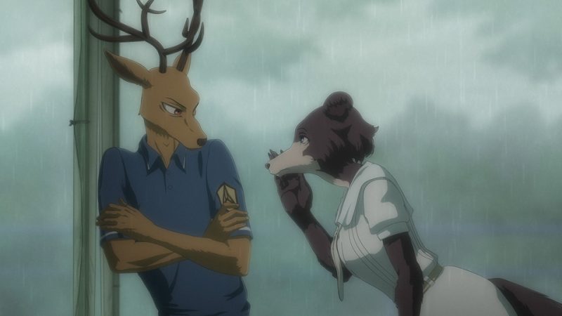 Beastars Episode 12 Release Date And Spoilers Spoiler Guy