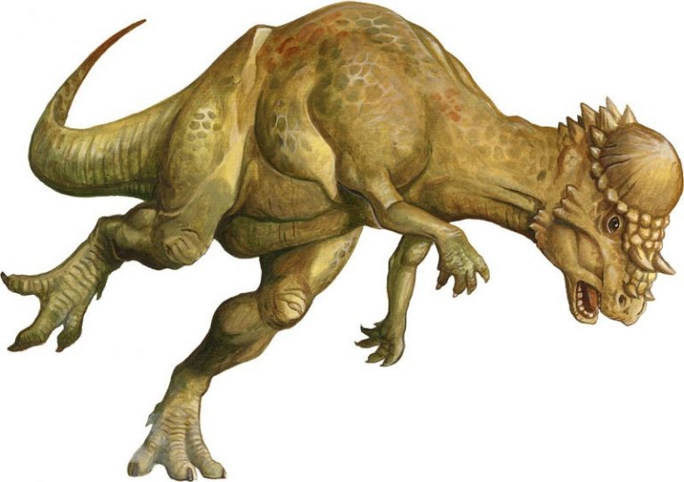 a dinosaur with 3 horns