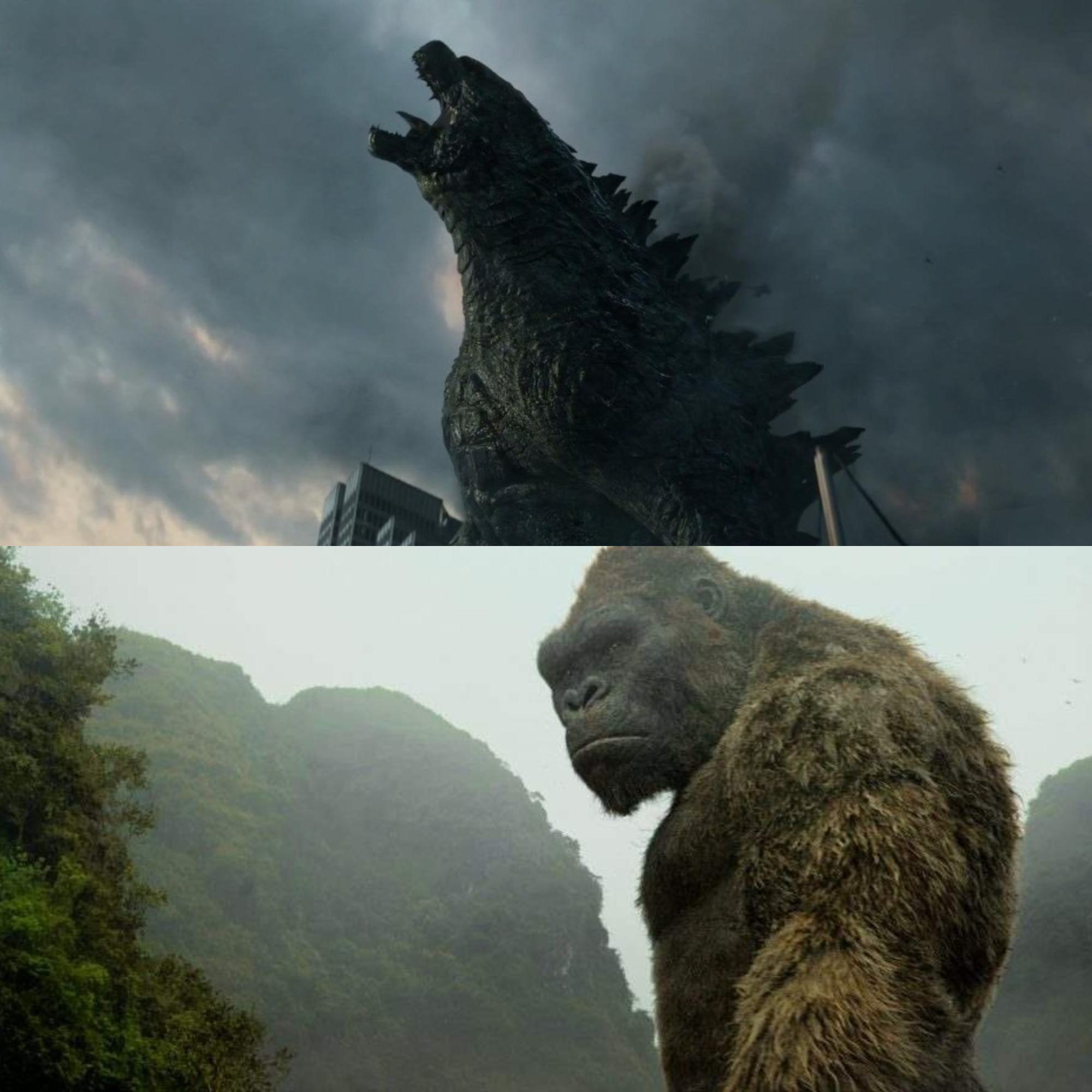 The New "Kong Vs Godzilla" Synopsis Stirs up The Internet! A New