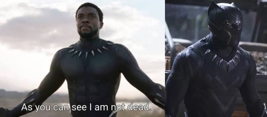 How Did Black Panther Die in the MCU? What Will it Bring? – OtakuKart News