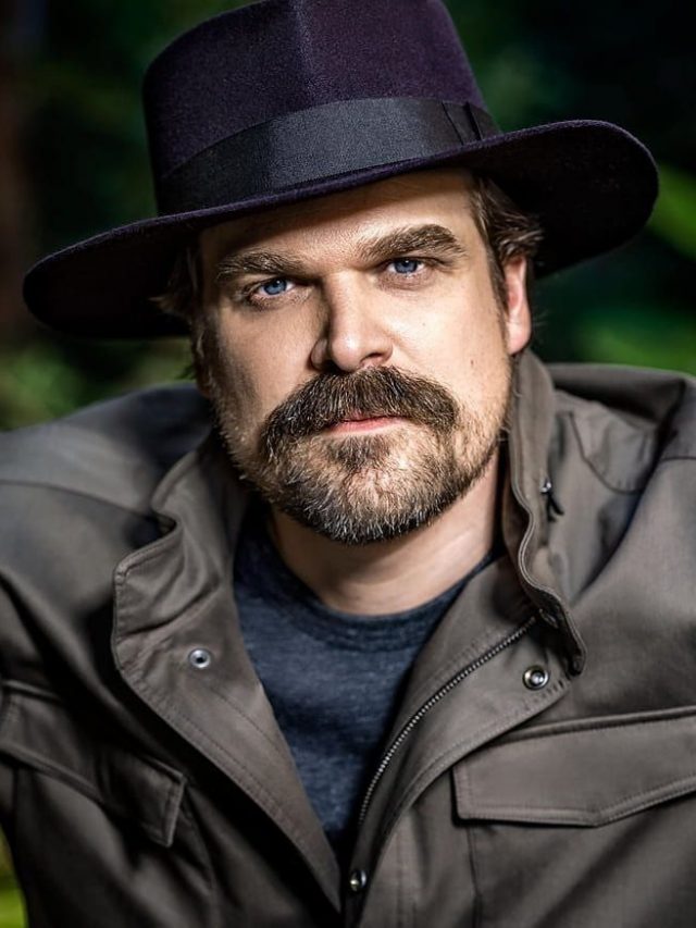 David Harbour’s Whopping Net Worth