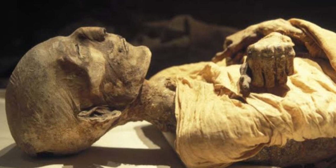 How Did King Tut Die? Explained
